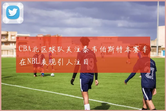 CBA北区球队关注泰韦伯斯特本赛季在NBL表现引人注目