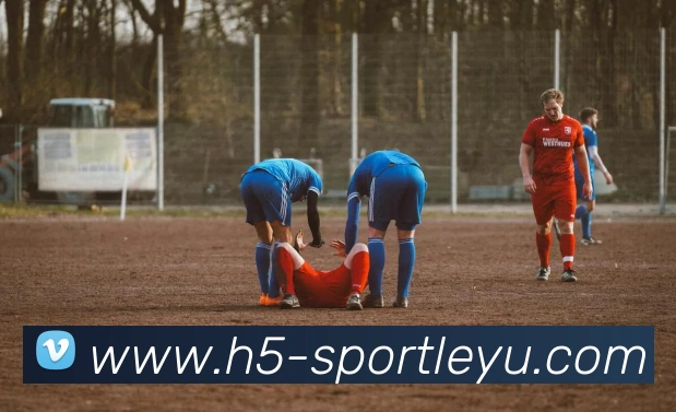 乐鱼体育APP 封面图